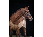 Headcollar Signature II