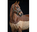 Headcollar Signature II