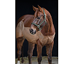 Headcollar Signature II