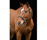 Headcollar Swiss Design II