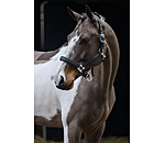 Headcollar Swiss Design II