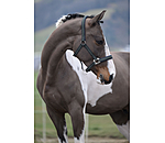 Headcollar Swiss Design II