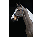 Headcollar Swiss Design II