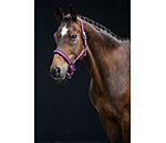 Headcollar Swiss Design II