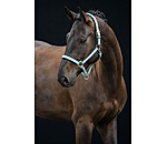 Headcollar Swiss Design II