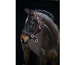 Headcollar Swiss Design II
