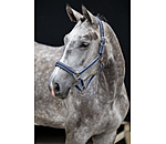 Headcollar Swiss Design II