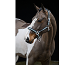 Headcollar Swiss Design II