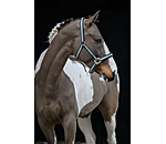 Headcollar Swiss Design II
