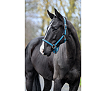 Headcollar Swiss Design II
