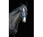 Headcollar Swiss Design II