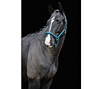 Headcollar Swiss Design II
