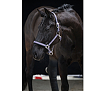 Headcollar Swiss Design II
