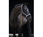 Headcollar Swiss Design II