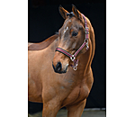 Headcollar Swiss Design II
