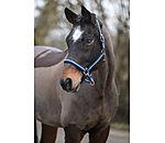 Headcollar Essential II