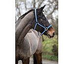 Headcollar Essential II