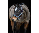Headcollar Essential II