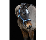 Headcollar Essential II