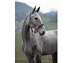 Headcollar Essential II