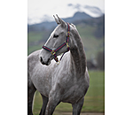 Headcollar Essential II