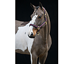 Headcollar Essential II