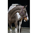 Headcollar Essential II