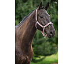 Headcollar Essential II