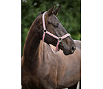 Headcollar Essential II