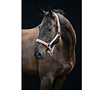 Headcollar Essential II