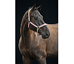 Headcollar Essential II