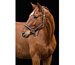 Headcollar Essential II