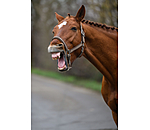 Headcollar Essential II