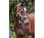 Headcollar Essential II