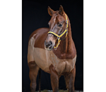 Headcollar Essential II