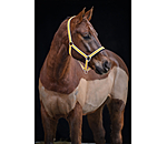 Headcollar Essential II