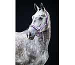 Headcollar Essential II