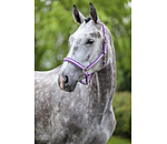 Headcollar Essential II