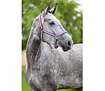 Headcollar Essential II