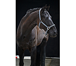 Headcollar Essential II