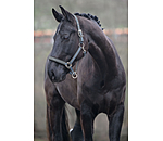 Headcollar Essential II