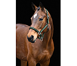 Headcollar Essential II