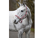 Headcollar Essential II