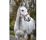 Headcollar Essential II