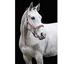 Headcollar Essential II