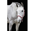 Headcollar Essential II