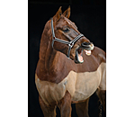 Headcollar Essential II