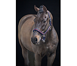 Headcollar Essential II