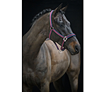 Headcollar Essential II