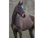 Headcollar Essential II